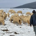 Ledenice su preko metar, molimo se da nam kola upale Na Pešteru je svanulo sibirsko jutro