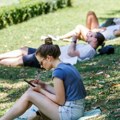 Opasnost nadomak Srbije: Ovaj insekt primećen prvi put posle 50 godina, ubod može da bude smrtonosan