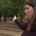 U parku na Belim vodama niče objekat komunalne policije: Nema građevinske table, građani zabrinuti VIDEO