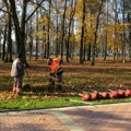 Jesenja sadnja cveća u Kragujevcu: 52.000 sadnica biće zasađeno