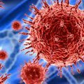 Naučnici uspešno uklonili HIV iz zaraženih ćelija