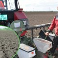 Ratari u AP Vojvodini završavaju najvažniji posao u godini: Suncokret se seje, kukuruz počeo da niče, poljoprivrednici…