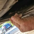 Pogledajte šta se zavuklo u luksuzni mercedes u Srbiji i to baš na Đurđevdan: Odmah je krenula akcija!