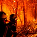 Nezapamćeni požari haraju Evropom, proširili se na 4 države: strahuje se da bi mogli da potraju do novembra