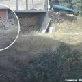 Jeziv snimak iz Novog Pazara, građani u strahu: Čopor od 10 razjarenih pasa se zaleteo na devojčicu (video)