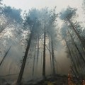 Komandant vatrogasne brigande Niš: Požar na Suvoj planini ne može da nam pobegne