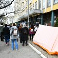 Удружења грађана: Ани Михаљици не би била враћена деца да није било протеста и притиска јавности
