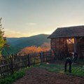 Državni podsticaji poljoprivrede – nekad i sad