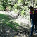 Probudio me lavež i buka, a kad sam izašao prizor je bio zastrašujući: Medvedi i psi lutalice prave haos u selima kod Priboja…