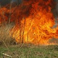 Situacija sa požarima ove godine drugačija po jednoj netipičnoj pojavi, ali MUP apeluje na oprez
