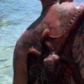 Sudar titana Čovek se "bori" sa hobotnicom (video)