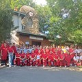 Crveni krst Srbije otvorio račun za pomoć građanima pogođenim požarima
