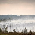 Požari širom Evrope: U Grčkoj uhapšene dve osobe zbog izazivanja požara, u Portugalu aktivno više od 100 požara