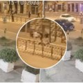 Brutalna tuča u centru Beograda Kamera snimila dramatične scene: Besomučno udaraju mladića dok nepomično leži na ulici…