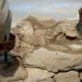 Peru: Arheolozi otkrili figuricu žaba koju je napravila drevna civilizacija
