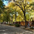 Promenljivo vreme u Srbiji: Slaba kiša i blagi pad temperature u nedelju