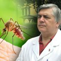 Zaraženi komarci haraju u ovim gradovima: Profesor Tiodorović: Mnogi nemaju simptome, ali na ovo obavezno obratite pažnju!