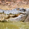 Horor na krštenju u reci: Krokodili napali vernike, užasavajuća scena, policija jedva uspela da nađe ostatke žrtve