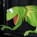 Stvorenje nazvano po žabi Kermitu nudi tragove o evoluciji vodozemaca