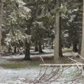 Sneg na Goliji: Meštani kažu da ovde nekad veje i u maju, a pogledajte kao to izgleda sada (foto, video)