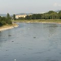 Nišava u smeću, ekolozi kažu manjak društvene svesti "večiti problem"