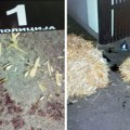 „Dnevnik” saznaje Podignuta optužnica za ubistvo u Inđiji