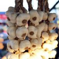 U subotu 22. Festival belog luka u Šupljaku