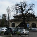 Na prodaju kultni beogradski restoran Golf - Mesto gde je nastala Karađorđeva šnicla traži novog vlasnika