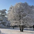 Hladno i sneg za Novu godinu Stižu obilan sneg i ledene temperature
