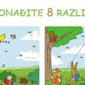 Testirajte svoj vid i koncentraciju: Koliko brzo možete da uočite svih 8 razlika između ove dve ilustracije
