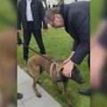 Vučić: Milutin je takođe "Kobra" - neumoljiv, opasan i beskrajno odan (video)