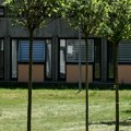 Procter&Gamble renovira školsko dvorište u Beogradu, volonteri zasadili nekoliko drveća i biljaka