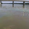 Нафтна мрља на Дунаву ухваћена у пливајућу брану, квалитет пијаће воде није угрожен