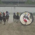 Užas na beogradskom hipodromu, konj zbacio džokeja usred trke! Hitna pomoć reagovala - izneli su ga na nosilima (video)