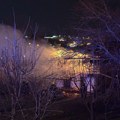 Prve fotografije požara u Sremskoj Kamenici: Izgorela vikendica, vatrogasci se pola sata borili sa stihijom (foto)