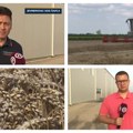 Ranije počela žetva u Srbiji: Ekstremno visoke temperature ubrzale zrenje strnih žita