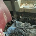 Policija zaustavila školski autobus, unutra horor Životinje u jezivom stanju, korisnici društvenih mreža zgroženi! (foto)