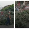 Drvo palo na ženu, ostala je zaglavljena ispod Horor scena u Skoplju, ljudi u panici trče (video)