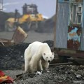 "Pakleno" upozorenje, planeta ključa! Globalno zagrevanje će biti duplo gore od predviđenog, stručnjaci upozoravaju…