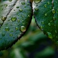 I dalje nestabilno vreme, narandžasti meteo-alarm za centralne delove zemlje