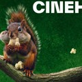 Za odmak od eskalirajućeg ludila: Cinehill, naslednik Motovunskog festivala, od 22. do 27. jula u Fužinama