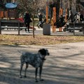 Vremenska prognoza za 4. maj: Nastavak lepog vremena, temperatura preko 20 stepeni