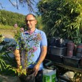 Egzotične biljke - hobi i zarada (Foto) foto galerija