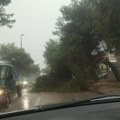 Oluja stigla do Istre, u Umagu iščupana stabla