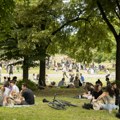 Srbi uz organizovani piknik uče da uživaju u prirodi