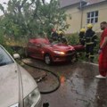 Prva fotografija sa mesta užasa u somboru! Nevreme oborilo drvo, žena u automobilu poginula