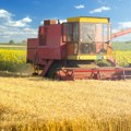 U planu poseta brazilskog Ministarstva poljoprivrede Srbiji