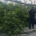 Olujni vetar oborio drvo u Beogradu: Stablo palo na parkirane automobile, policija na licu mesta