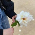 Zašto o ovoj školi priča cela Srbija Učenici bez telefona, škola bez problema: Mitrovčani zabranili mobilne, šminku, majice do…