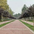 Kragujevac: Vremenska prognoza za predstojeći vikend (od 24. do 26. oktobra)